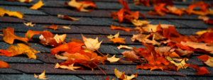 fall leaves on asphalt shingle roof