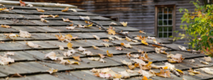 fall leaves on wood shingle roof