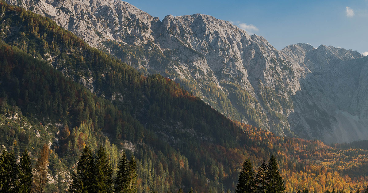 mountain scene with pine trees and Mountains in the distance with a blue sky.