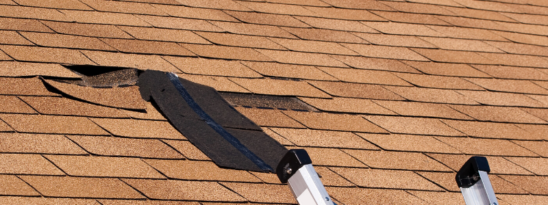 when should i have my roof inspected