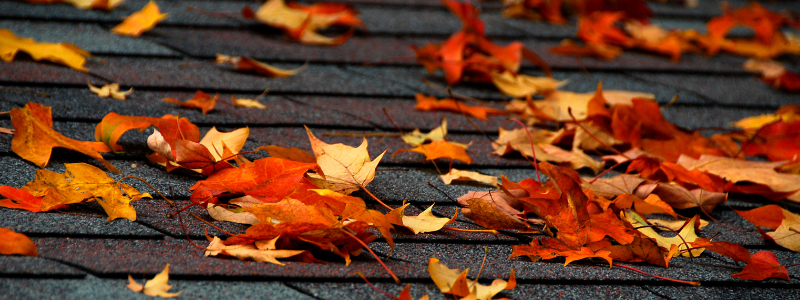 Fall Is the Best Time To Replace Your Roof