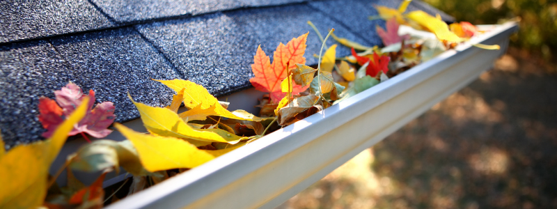 cleaning gutters in the fall