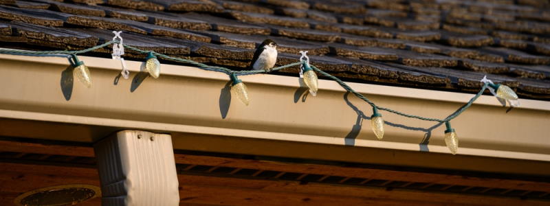 installing christmas lights with gutter guards