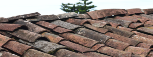 Roof Replacement: What to Expect